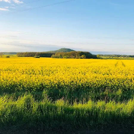 Nibylandia Motylkowa Nowa Wies Grodziska