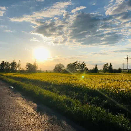 Nibylandia Motylkowa シャレー *