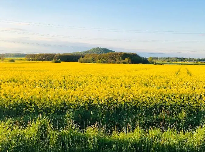 Nibylandia Motylkowa Nowa Wies Grodziska