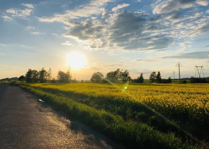 Nibylandia Motylkowa Chalet *